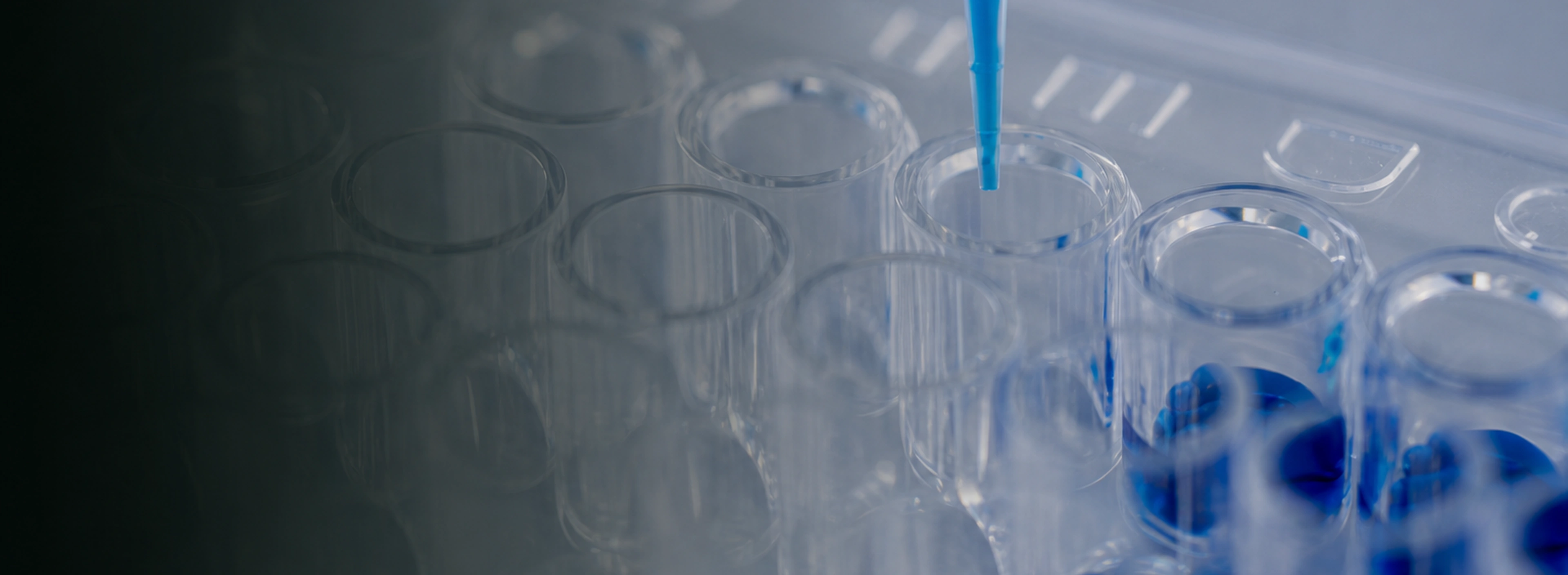 Dust and Fume Extraction for Rubber and Plastics Processing